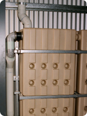 3600 litres of stormwater