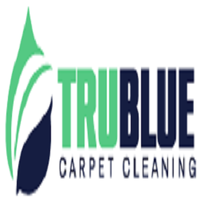 Visit 